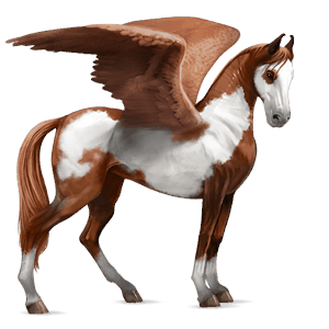 pegas de călărit paint horse roib bălţat