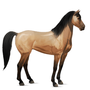cal de călărit mustang roib închis blond 