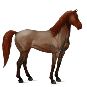 cal de călărit mustang piersiciu