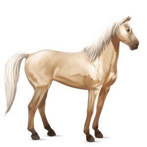 cal de călărit mustang isabel