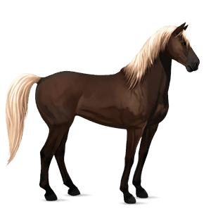 cal de călărit mustang albinos