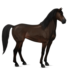 cal de călărit mustang murg deschis