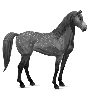 cal de călărit mustang Șarg