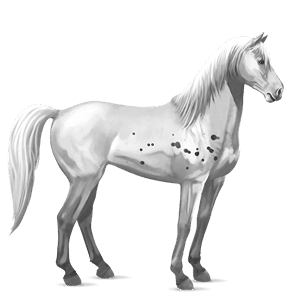 cal de călărit mustang roib închis