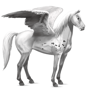 pegas de călărit cal german saddle roib