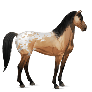 cal de călărit camargue sur