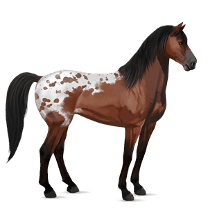 cal de călărit mustang roib închis