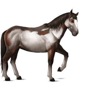 cal de călărit mustang negru