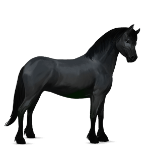 ponei fjord brunblakk