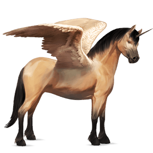 ponei unicorn cu aripi  kerry bog Șarg bălțat