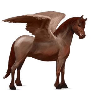 ponei pegas welsh sur