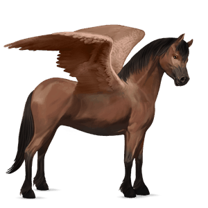 ponei pegas pacomira 