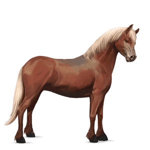 ponei pacomira 