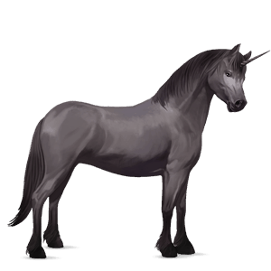 ponei unicorn kerry bog sur şoriciu