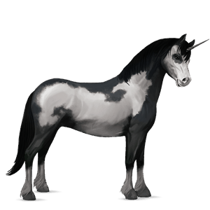 ponei unicorn kerry bog sur