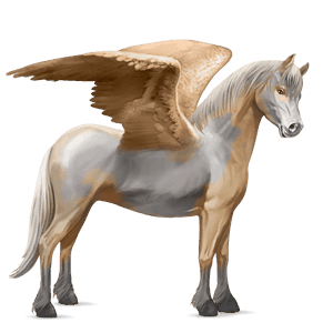 ponei pegas albinos