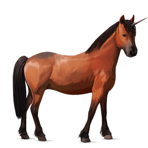 ponei unicorn fjord brunblakk