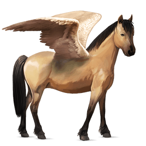 ponei pegas welsh murg