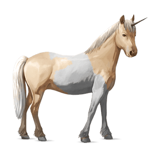 ponei unicorn kerry bog sur rotat