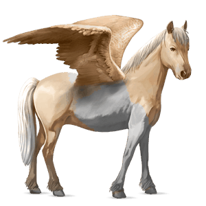 ponei pegas welsh isabel