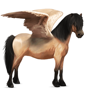 ponei pegas welsh roib închis blond 