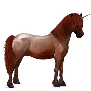 ponei unicorn ponei newfoundland  sur rotat