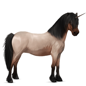 ponei unicorn fjord ulsblakk