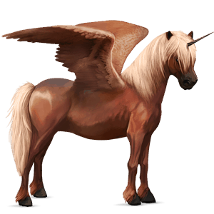 ponei unicorn cu aripi  ponei newfoundland  murg închis
