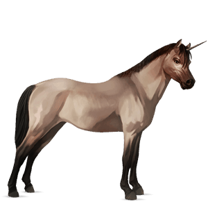 ponei unicorn ponei highland sur şoriciu