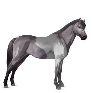 ponei albinos
