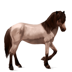 cal de călărit tennessee walker roib