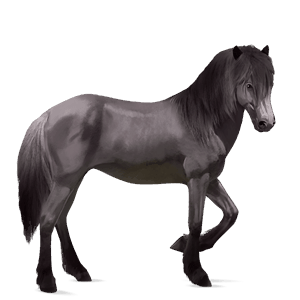 cal de călărit quarter horse murg