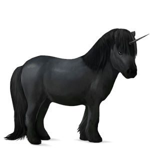 ponei unicorn shetland negru