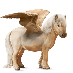 ponei pegas sur