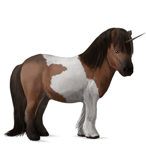 ponei unicorn fjord brunblakk