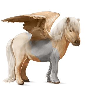 ponei pegas shetland roib închis blond 