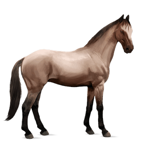 cal de călărit mustang chestnut spotted blanket 