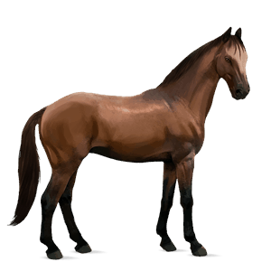 cal de călărit tennessee walker murg