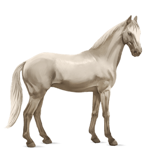 cal de călărit tennessee walker murg deschis