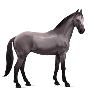 cal de călărit tennessee walker isabel
