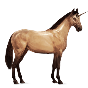 unicorn de călărit kwpn sur rotat