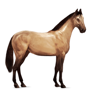 cal de călărit paint horse roib bălţat