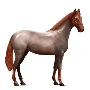 cal de călărit tennessee walker murg deschis