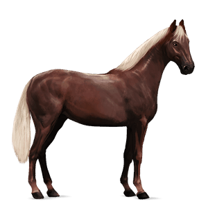 cal de călărit tennessee walker Șarg