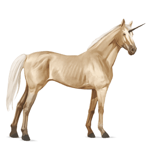 unicorn de călărit sur