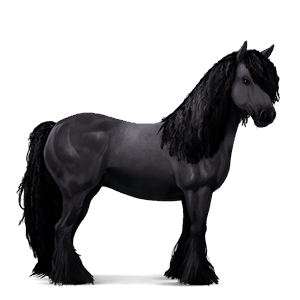 cal de călărit negru