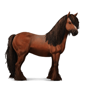 cal de călărit gypsy vanner  murg deschis bălțat