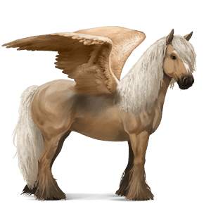 pegas de călărit gypsy vanner  isabel