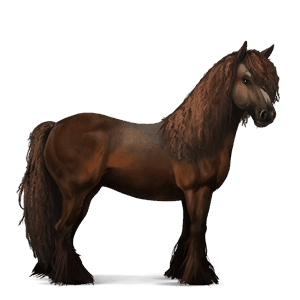 cal de călărit gypsy vanner  sur şoriciu bălțat