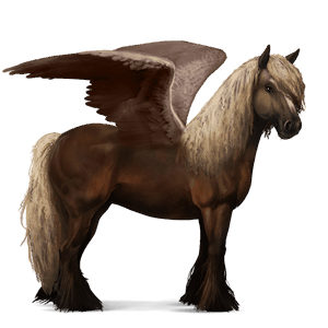 pegas de călărit gypsy vanner  murg